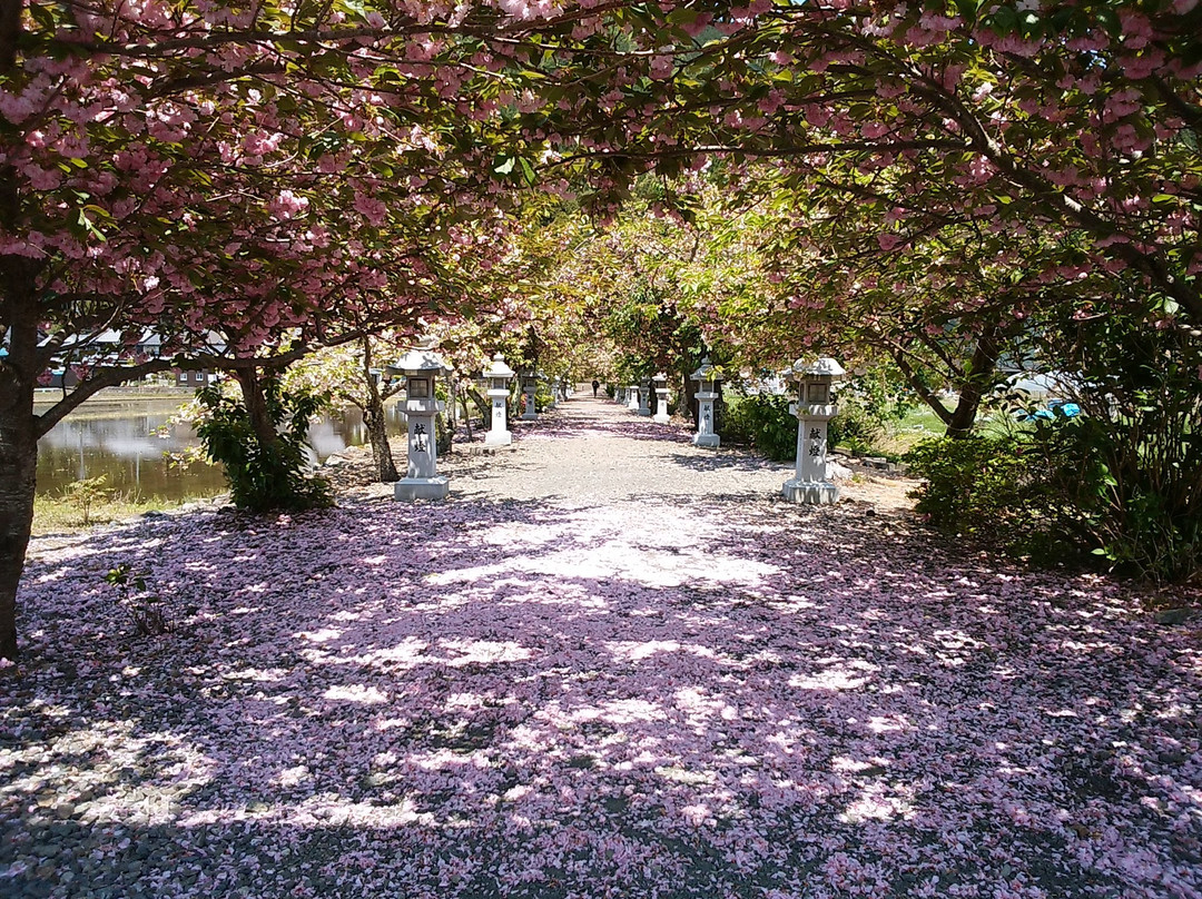 Ikagu Shrine-长滨市必去景点