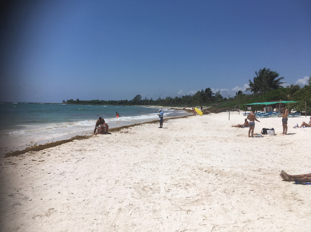 Serenity Authentic Glamping Tulum主图