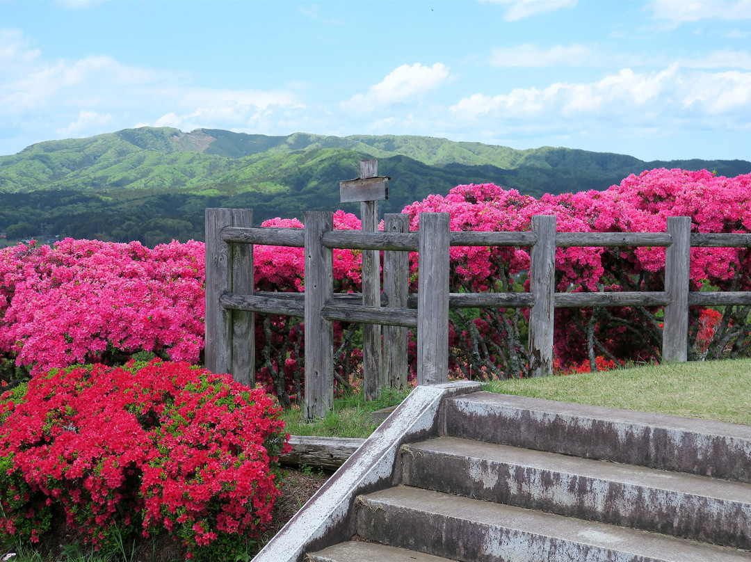 Kasama Azalea Matsuri-笠间市必去景点
