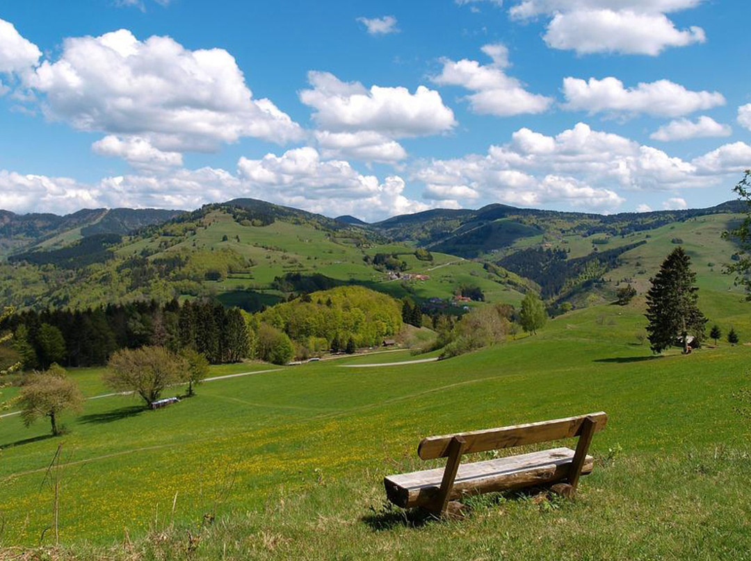 Nashira Kurpark Hotel主图