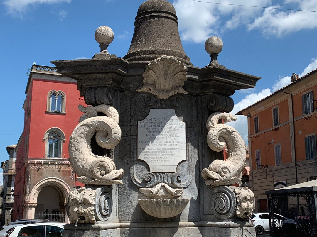 Fontana dei Delfini景点图片