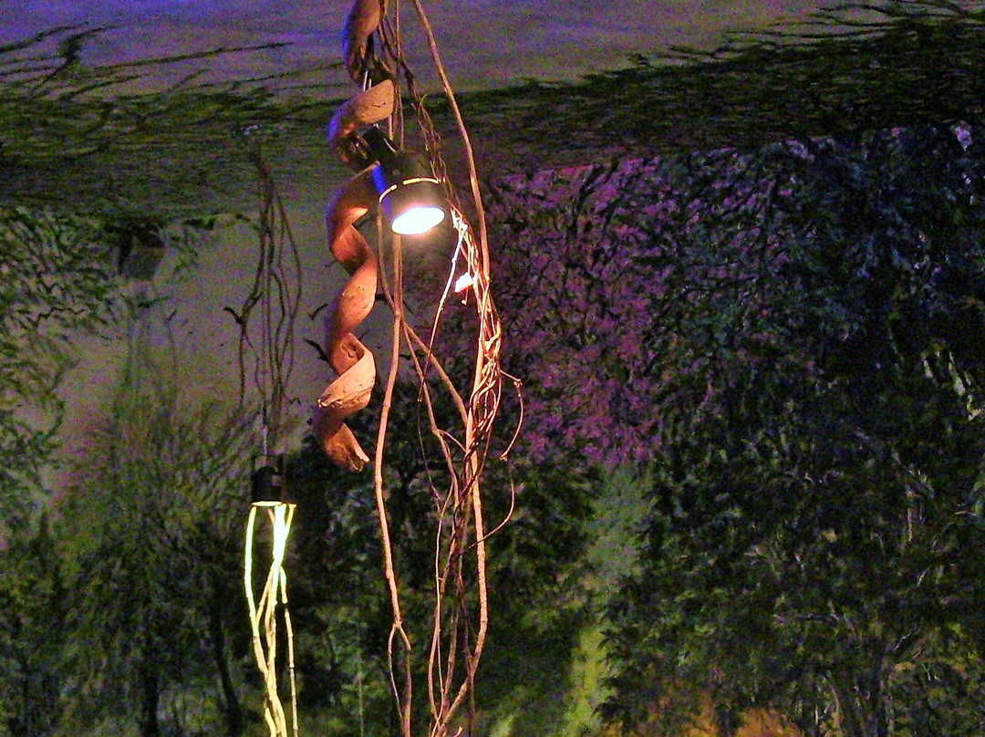 Museo del Hombre Chaqueno Ertivio Acosta-雷西斯滕西亚必去景点