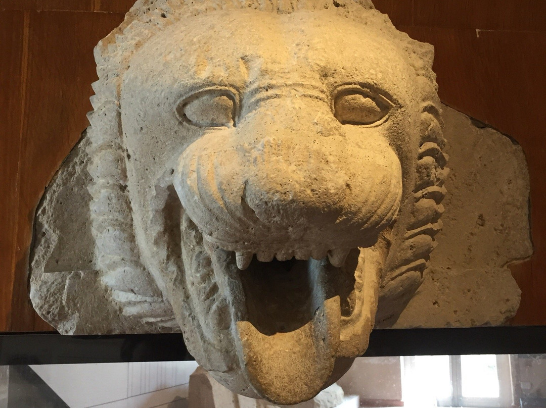 Himera Sito Archeologico e Museo景点图片