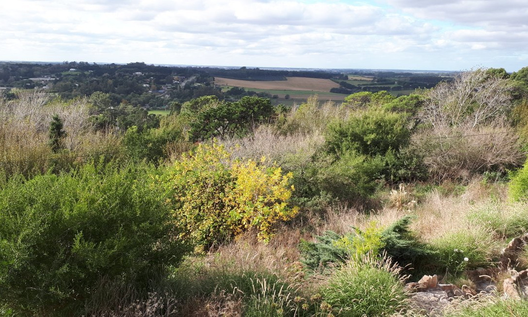 Paseo de la Cumbre-Sierra de los Padres必去景点