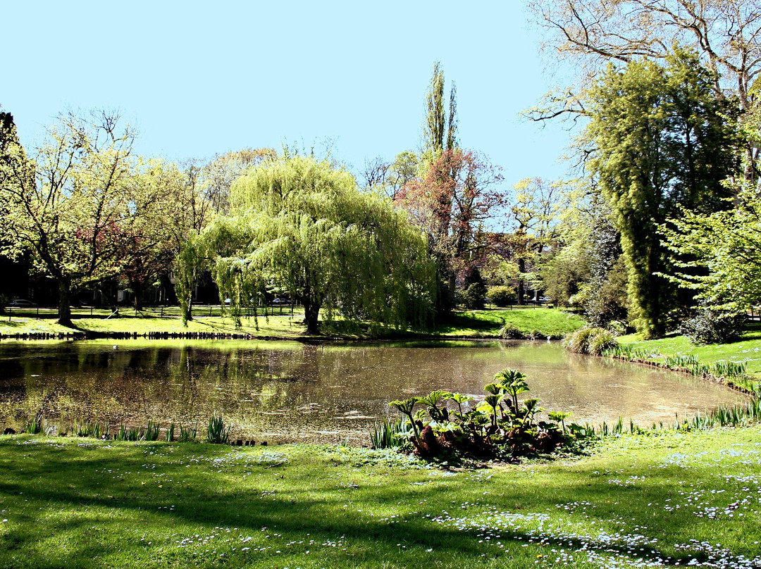 Serres du Jardin botanique de Liège景点图片