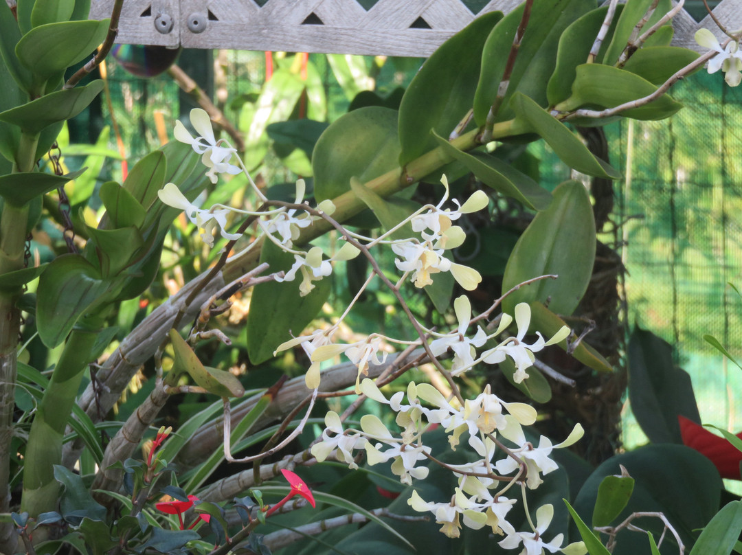 Chambres d'Hotes Nicole Maillot主图