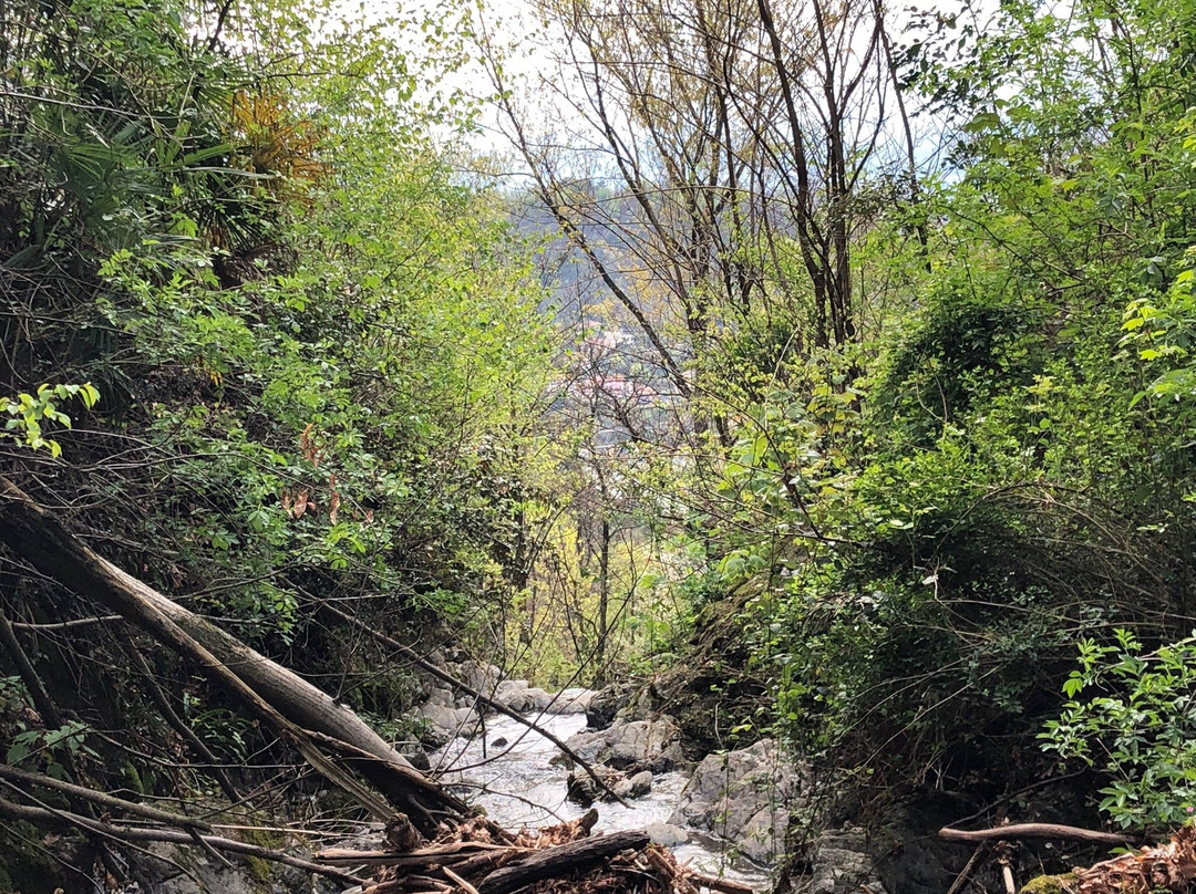Piccola Cascata del Diavolo-Laveno-Mombello必去景点