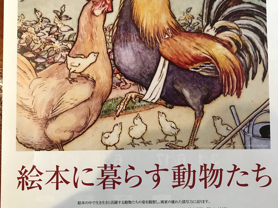 Karuizawa Picture Book Museum-轻井泽町必去景点
