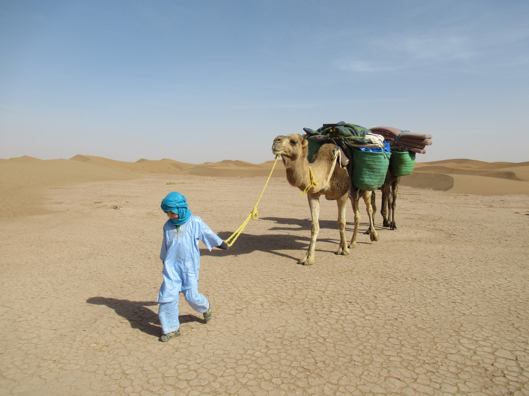 Desert Boussole Tours-马拉喀什必去景点