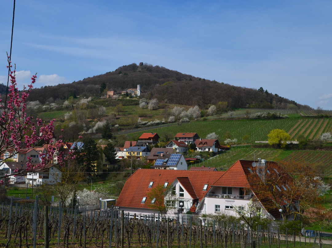 Hotel und Restaurant Castell主图