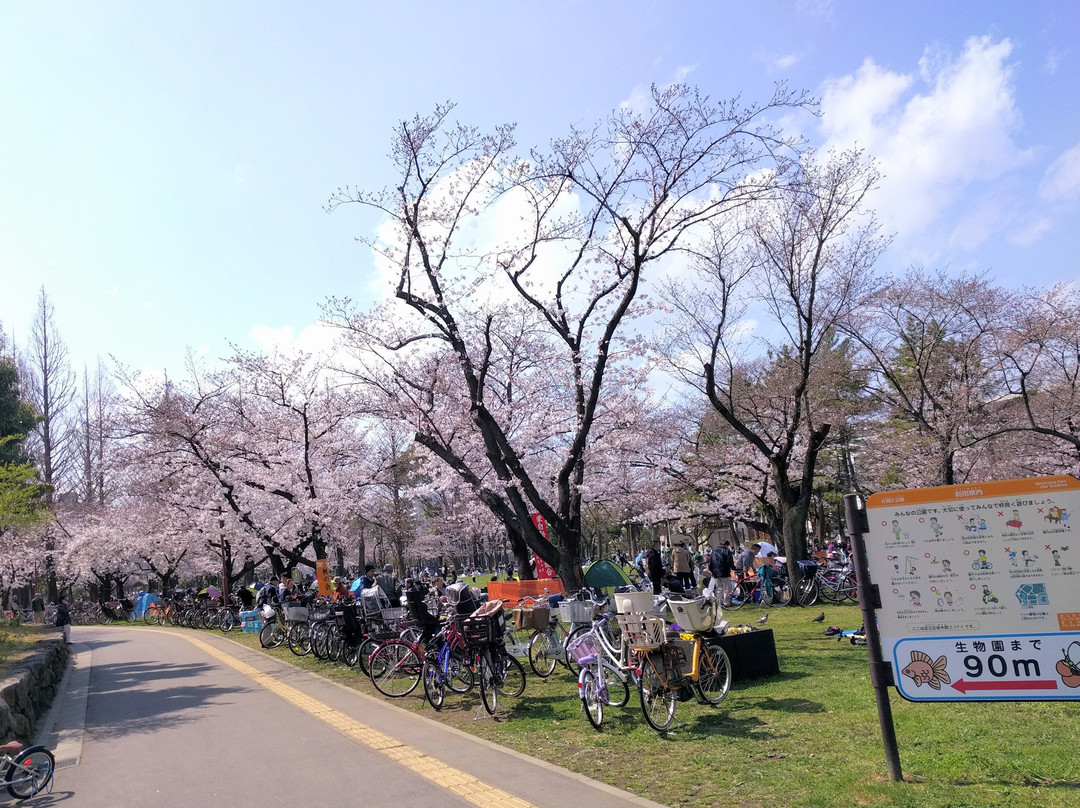 Motofuchi Park-足立区必去景点