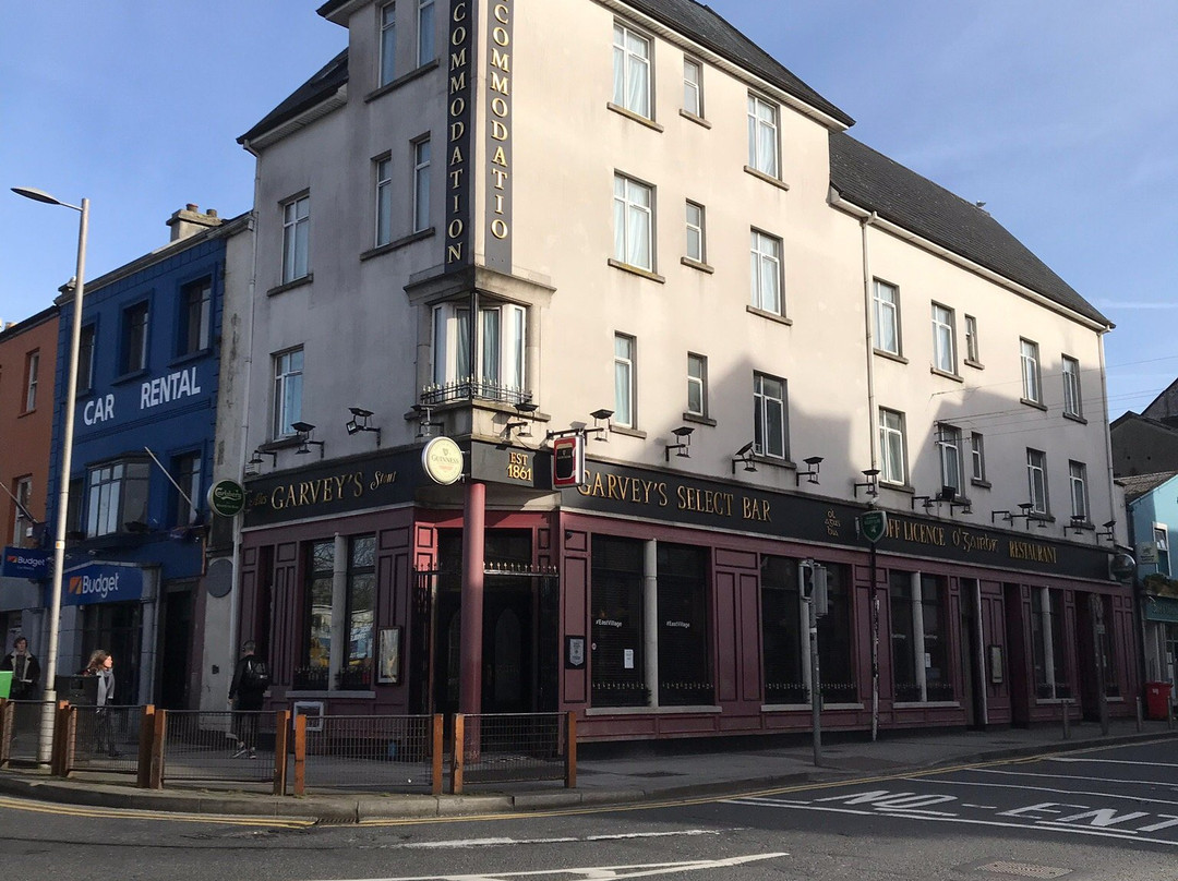 Garveys Bar Galway景点图片