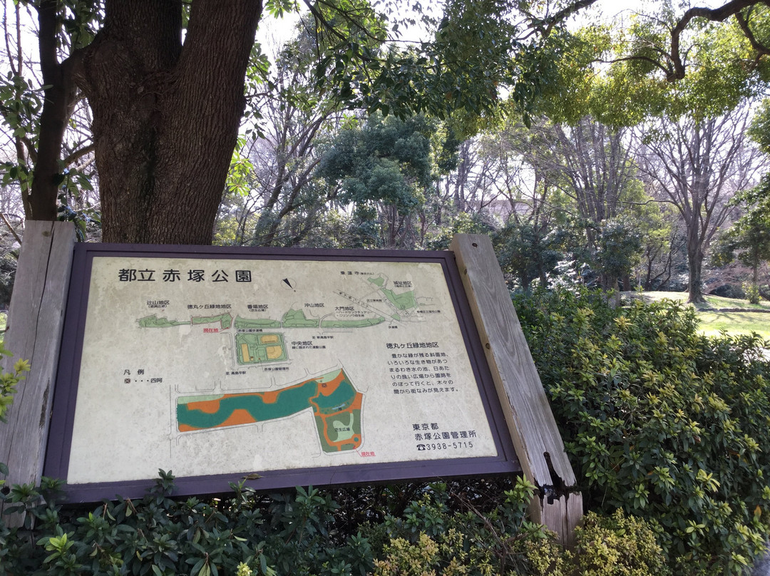 Akatsuka Park-板桥区必去景点