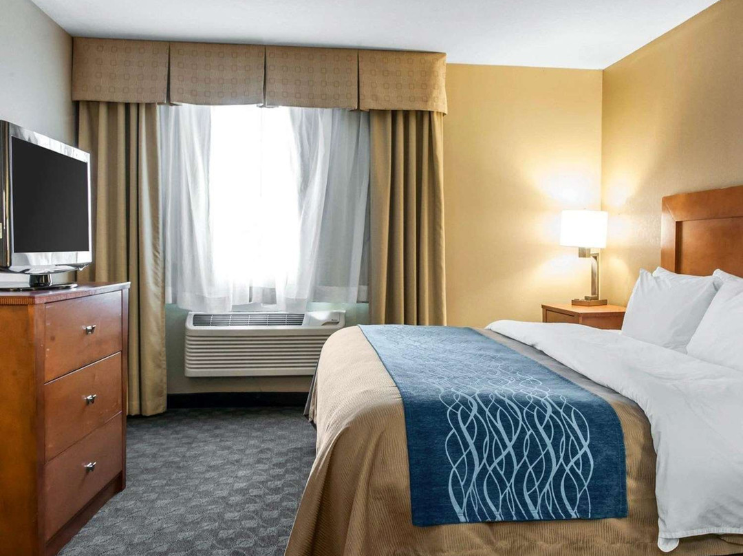 Comfort Inn & Suites主图