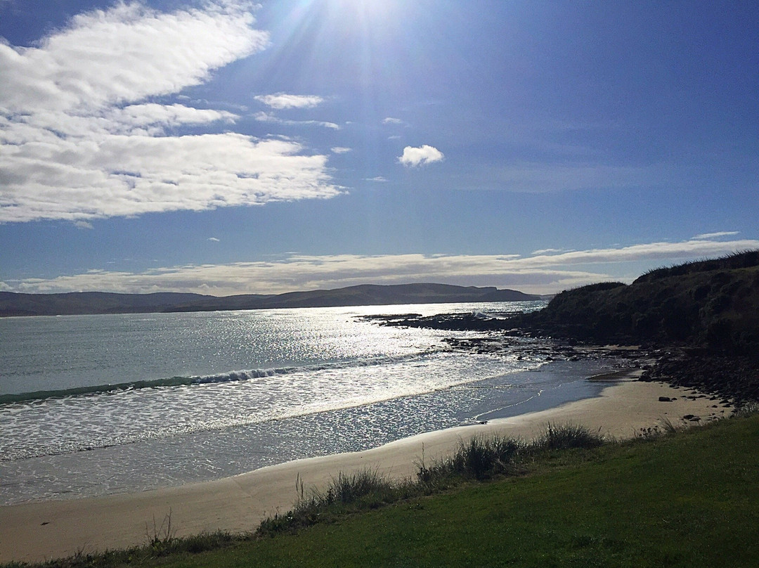 Catlins Surf School-Curio Bay必去景点