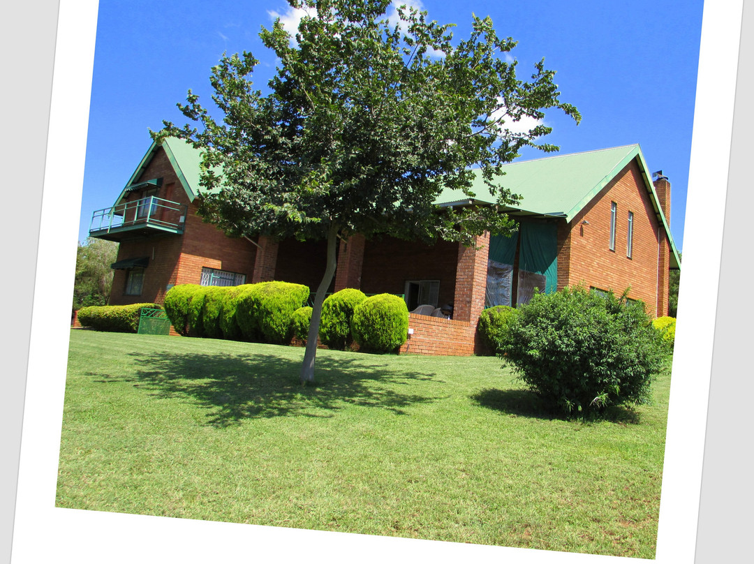 Olive Tree Farm主图