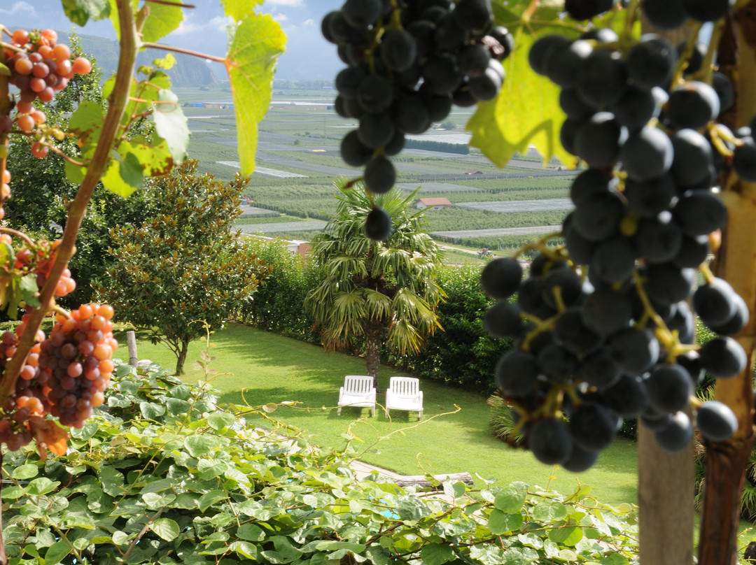 Garni Hotel Ritterhof主图