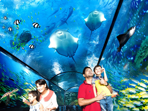 Radiant Fish World-科克斯巴扎尔必去景点