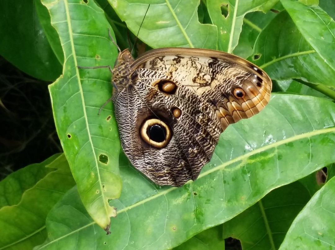 La Casa delle Farfalle-Ragusa CIty必去景点
