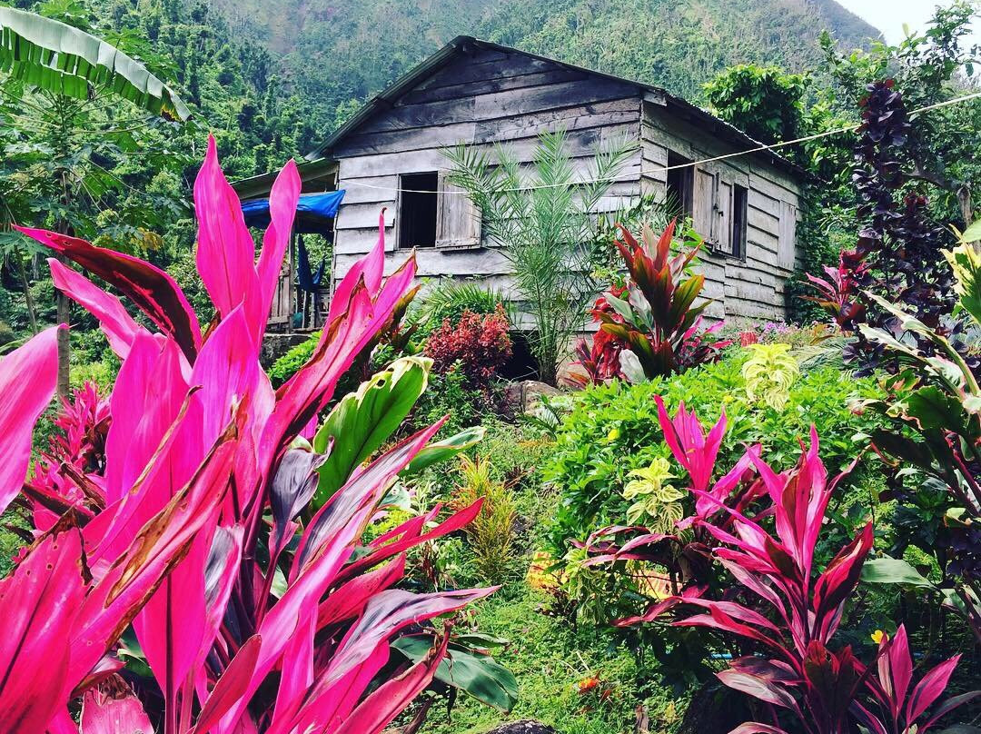 Zion Valley Bed and Breakfast主图