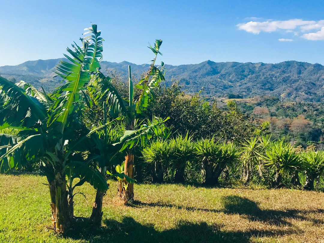 Vista Atenas Bed & Breakfast主图