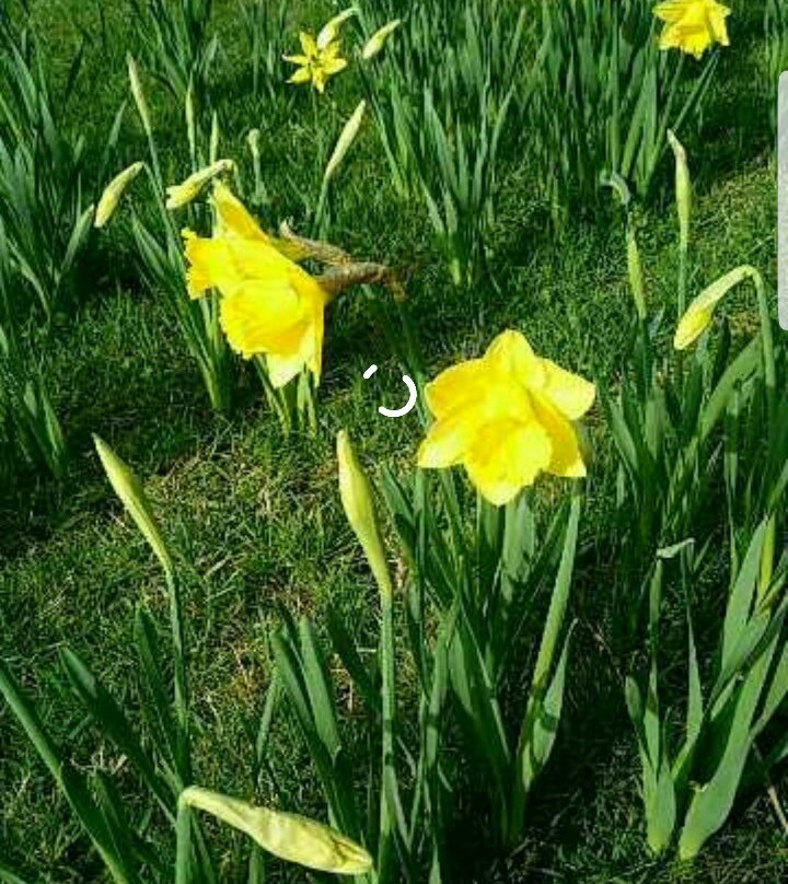 Lac de Creutzwald-Creutzwald必去景点