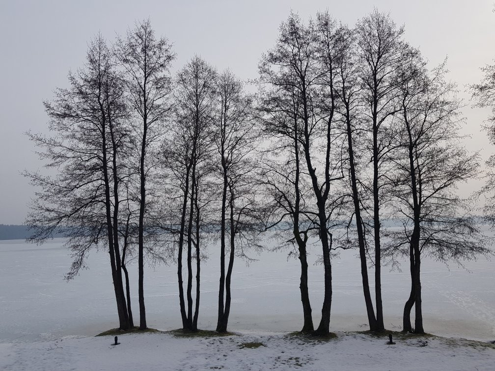 Lavysas旅游攻略图片