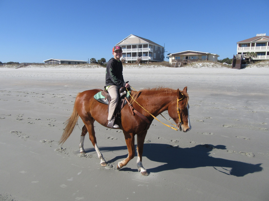 Grand Strand Horseback Riding景点图片