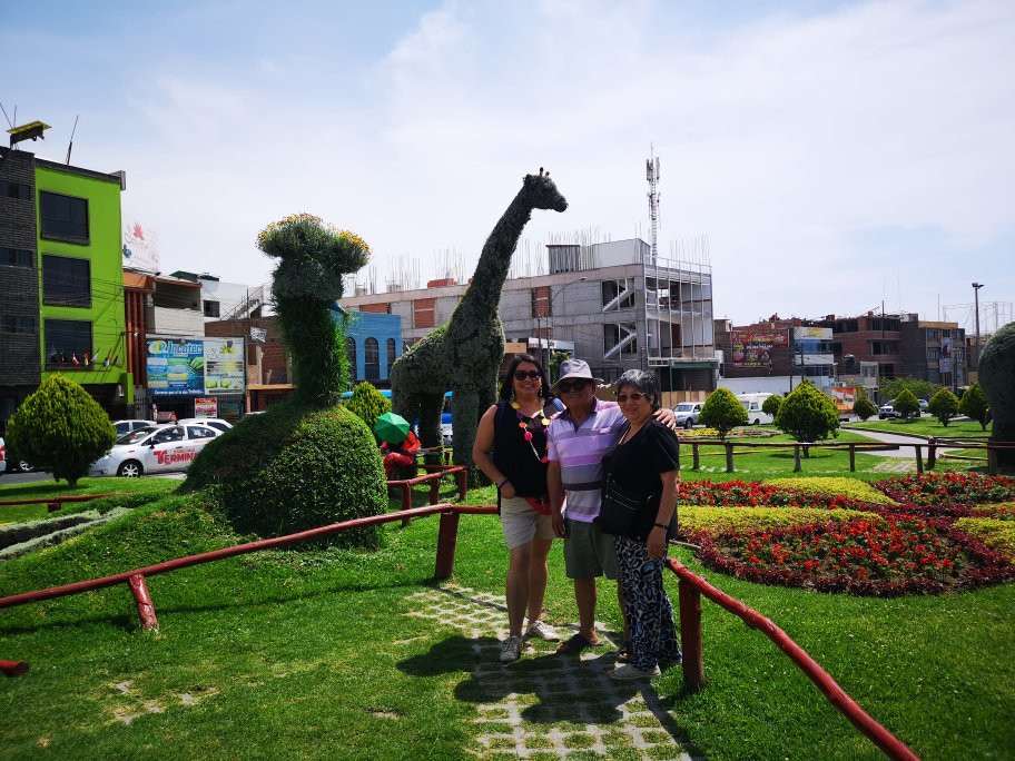 Bosque Municipal De Tacna-塔克纳必去景点