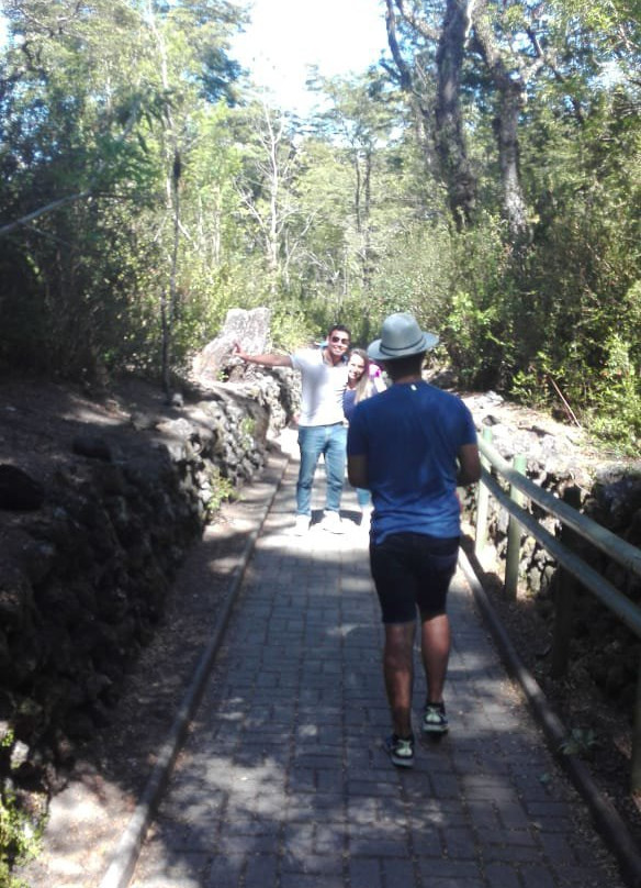 Austral Tours Chile-蒙特港必去景点