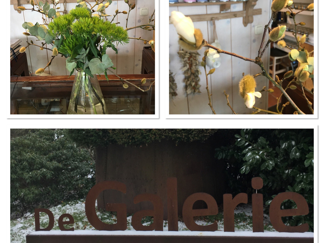Oirschot Galerie景点图片