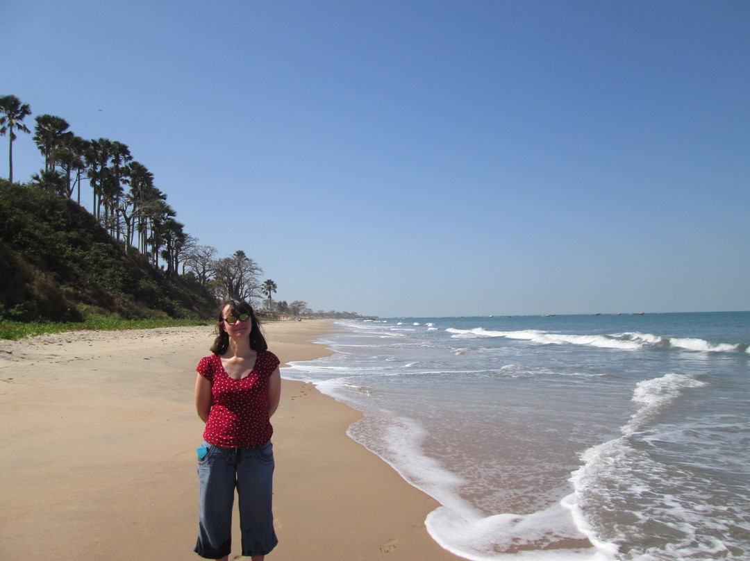 Hibiscus House主图