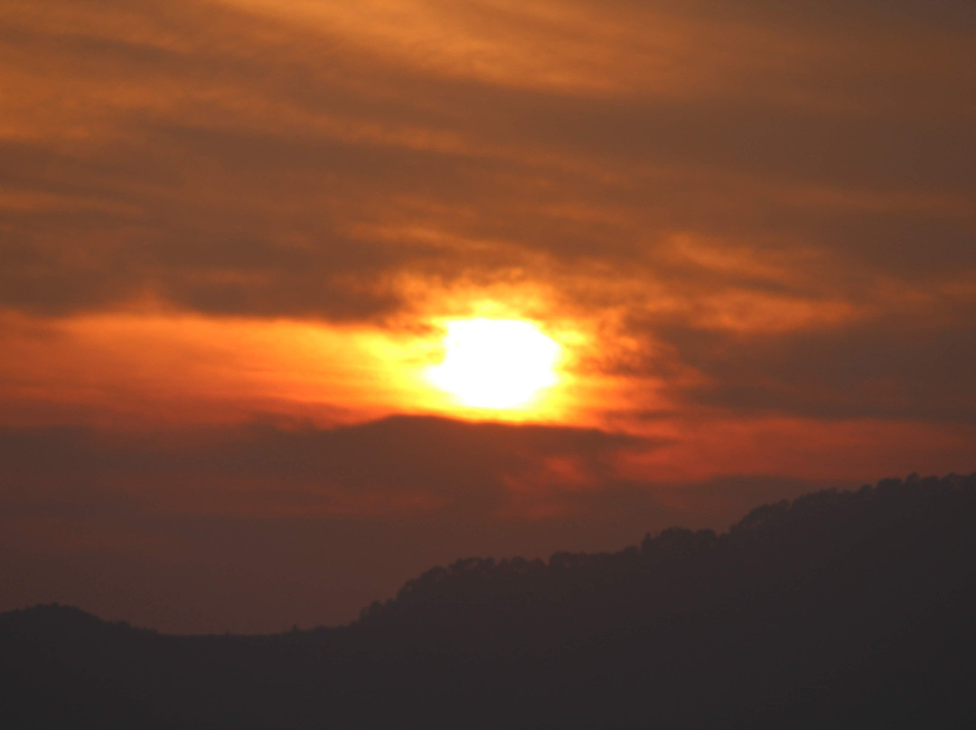 Hotel Sparrow Nest主图