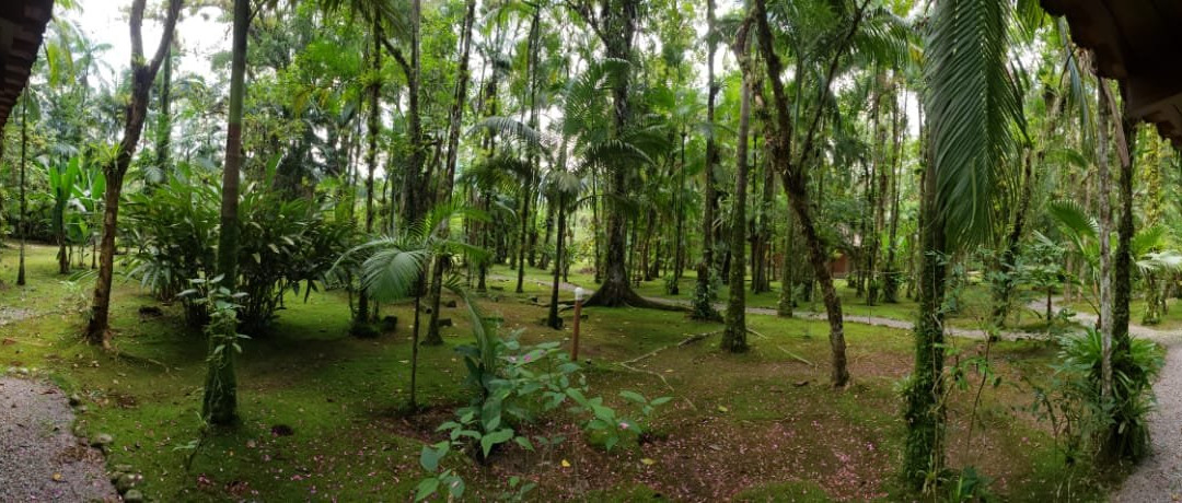 Pousada Graciosa主图