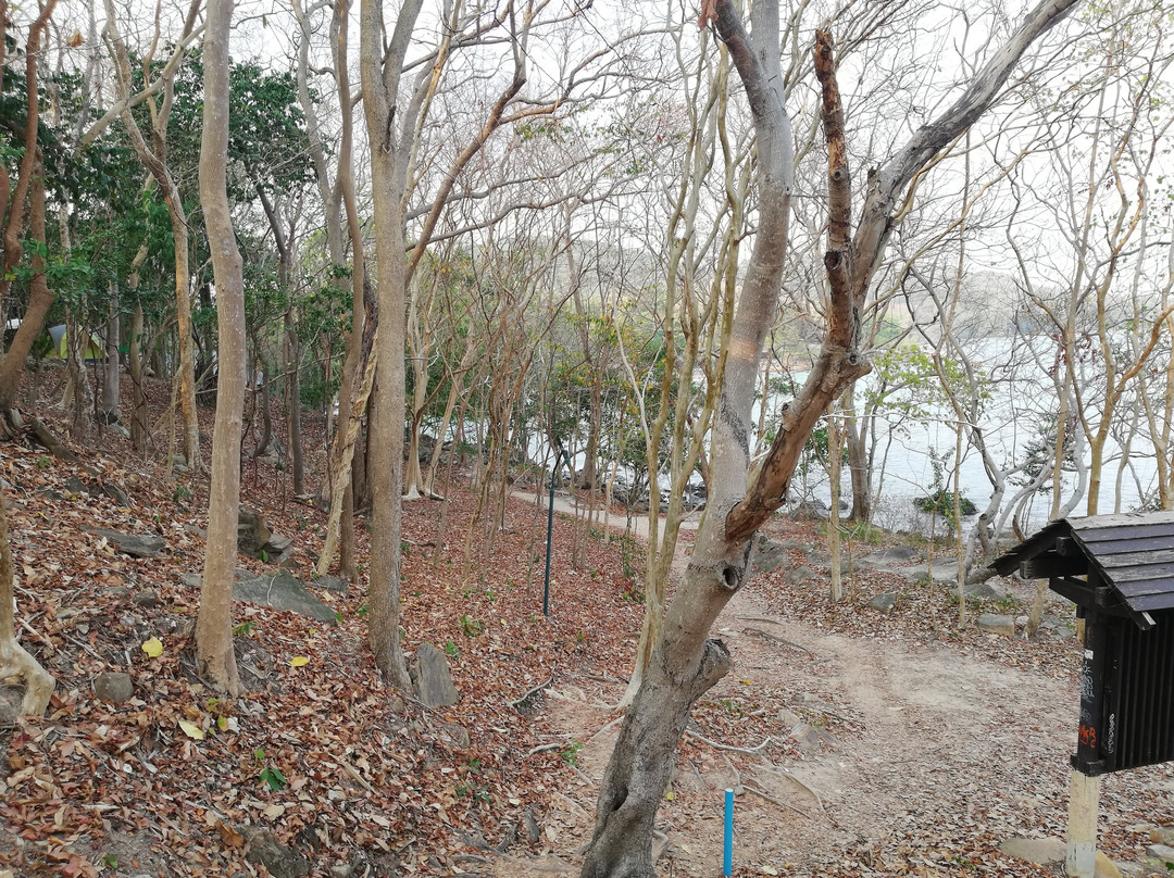 Noina's Mystic Mountain主图