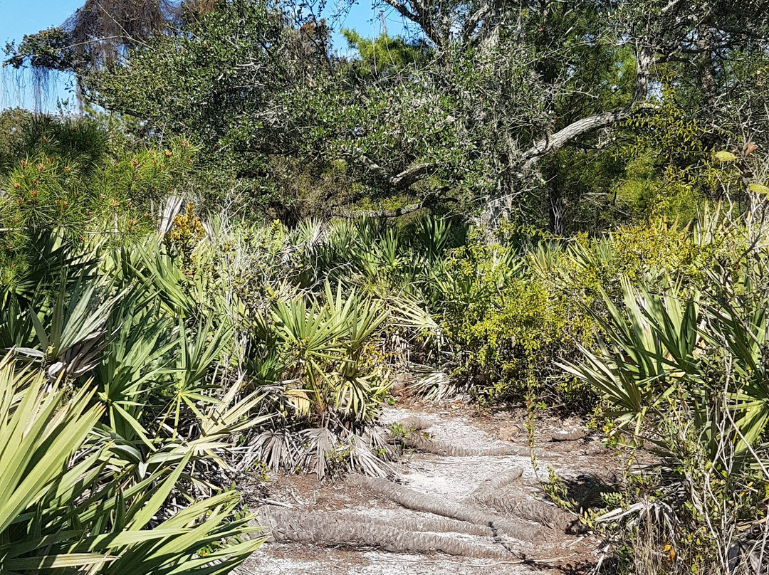Yamato Scrub Natural Area-博卡拉顿必去景点