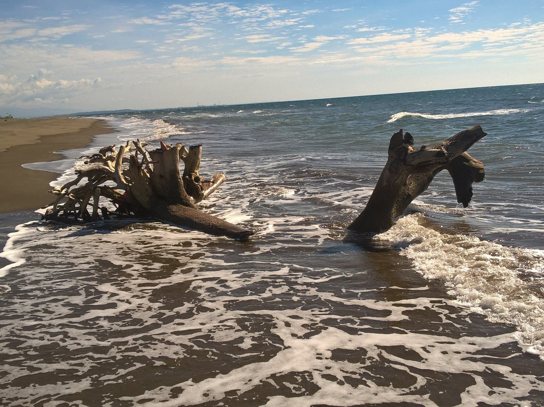 Seasun Beach Resort & Hotel主图