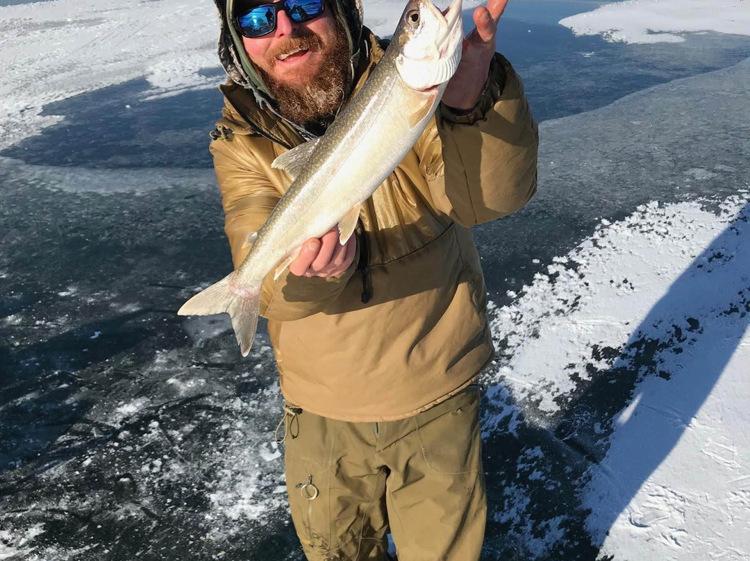 Ice Fish Winter Park景点图片