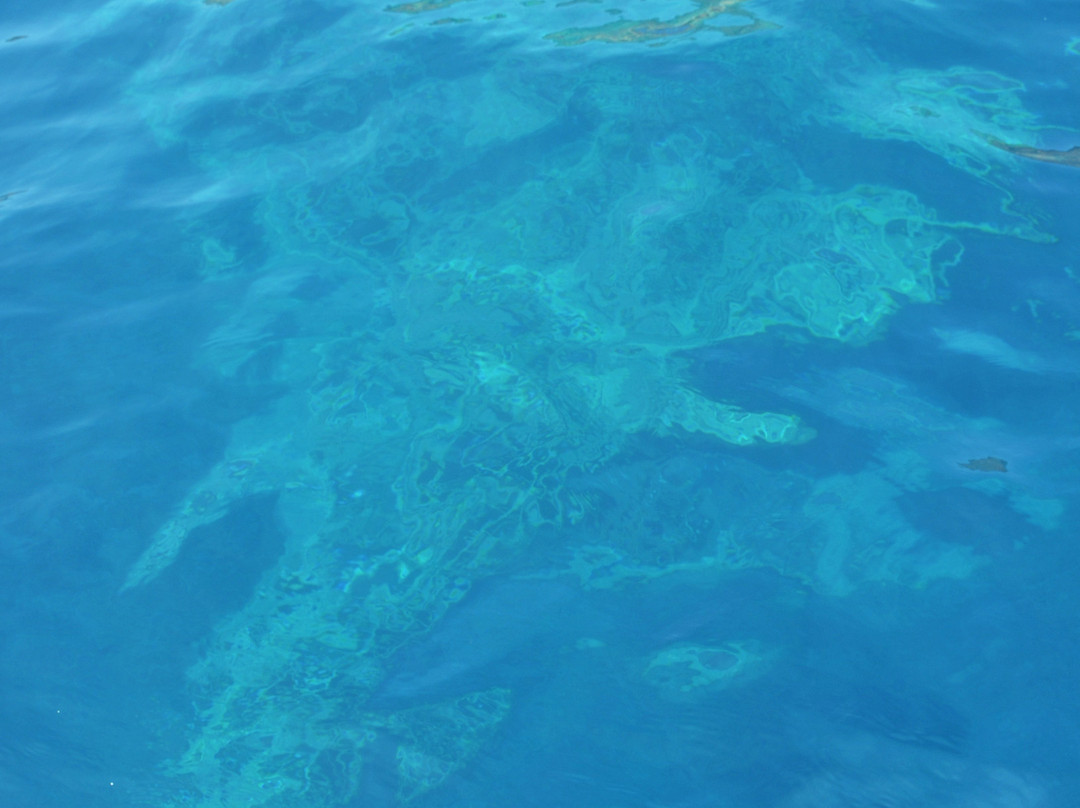 Alimia Beach-Irakleia必去景点