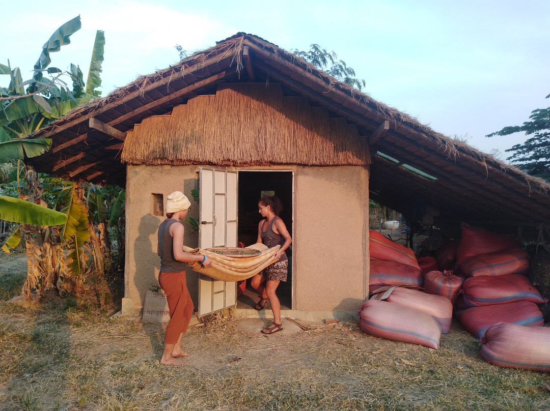 Organikh Project-Sisophon必去景点