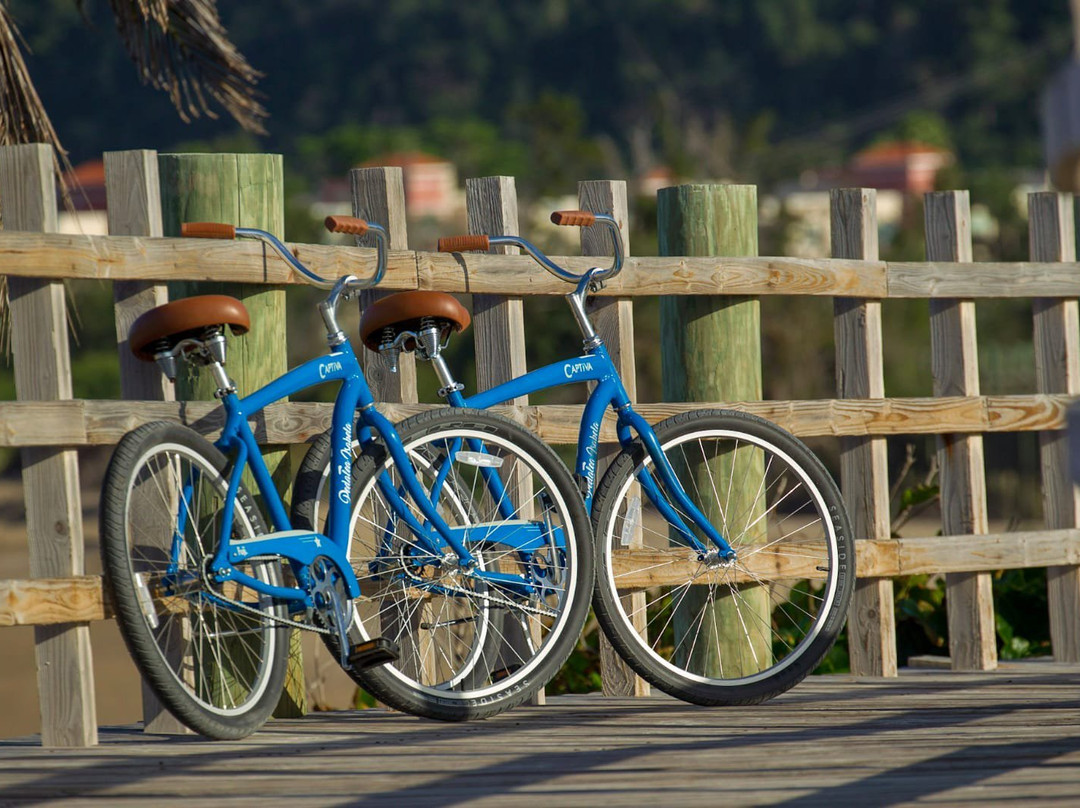 Pedalea Isabela-Isabela必去景点