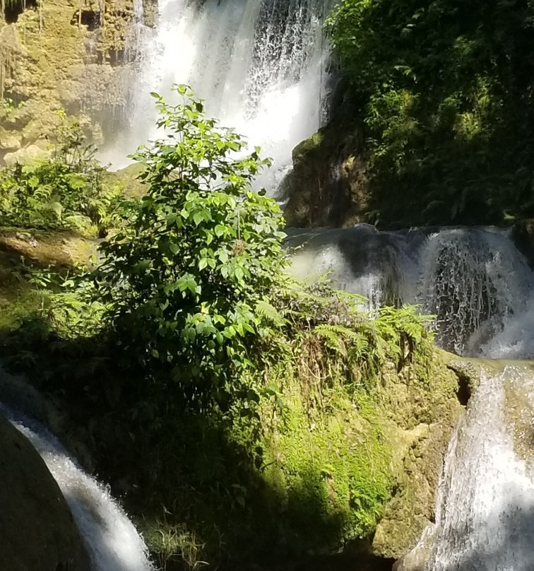 Emerald Taxi & Tours-Green Island必去景点