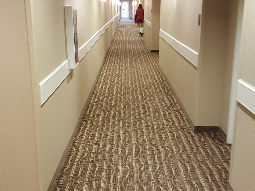 Comfort Inn & Suites Sidney I-80主图