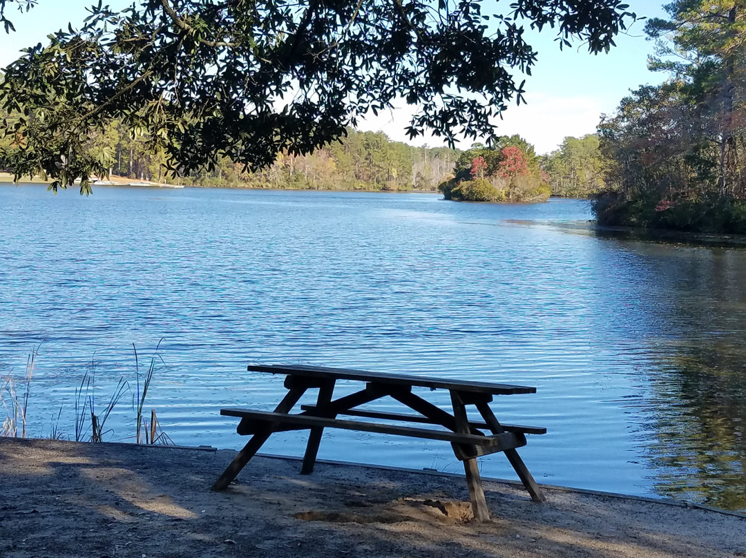 Sesquicentennial State Park景点图片