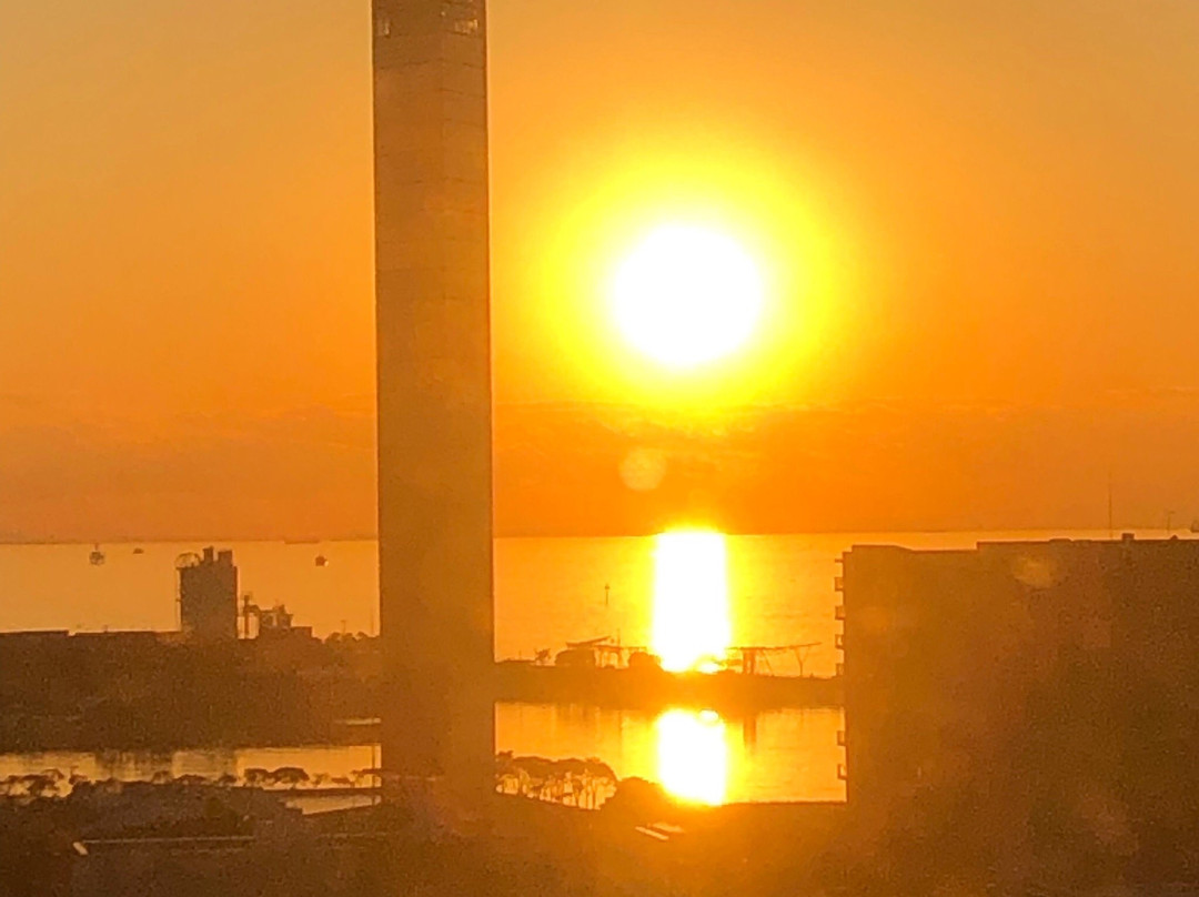 Chiba Port Tower景点图片