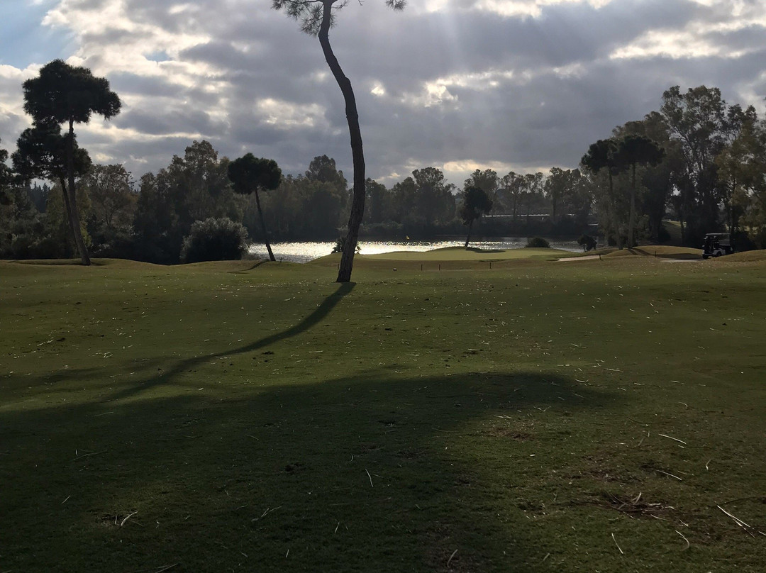 El Higueral Golf景点图片