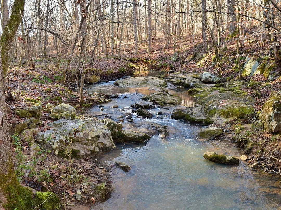 Cedarock Park-伯灵顿必去景点