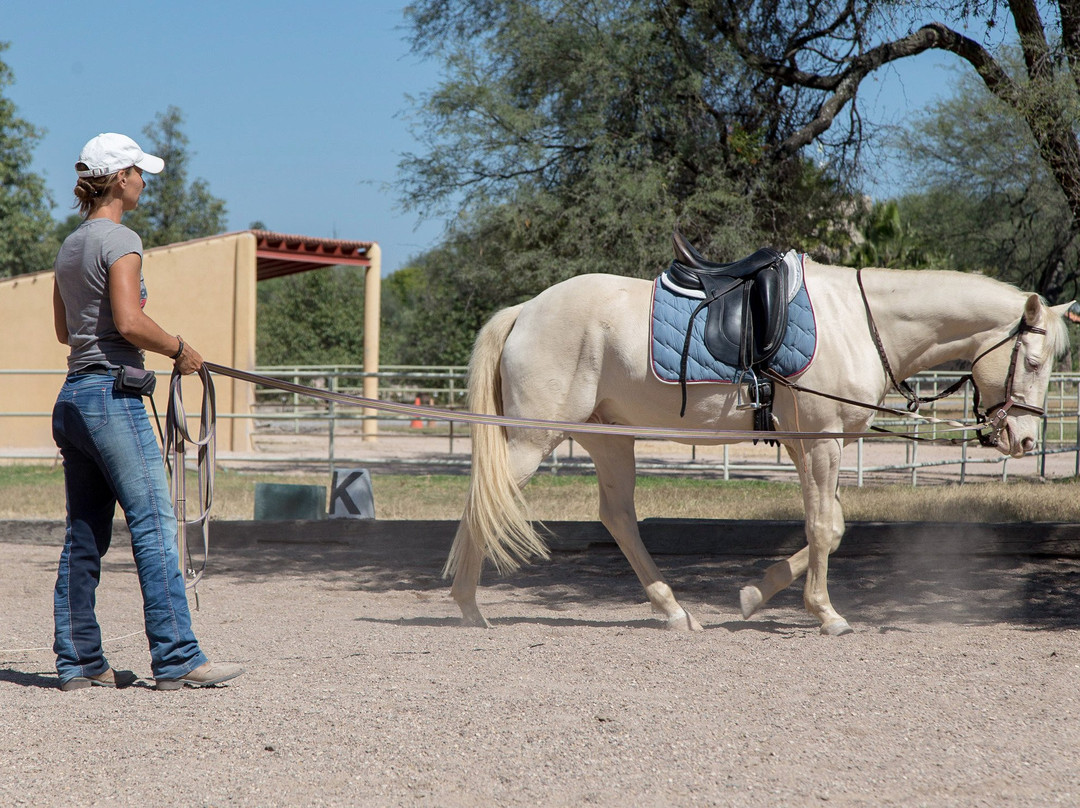 Granja Las Animas-圣米格尔护城必去景点
