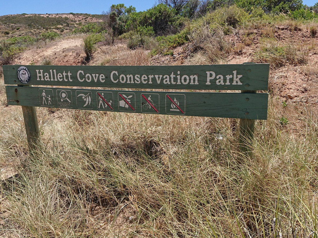 Hallett Cove Conservation Park景点图片