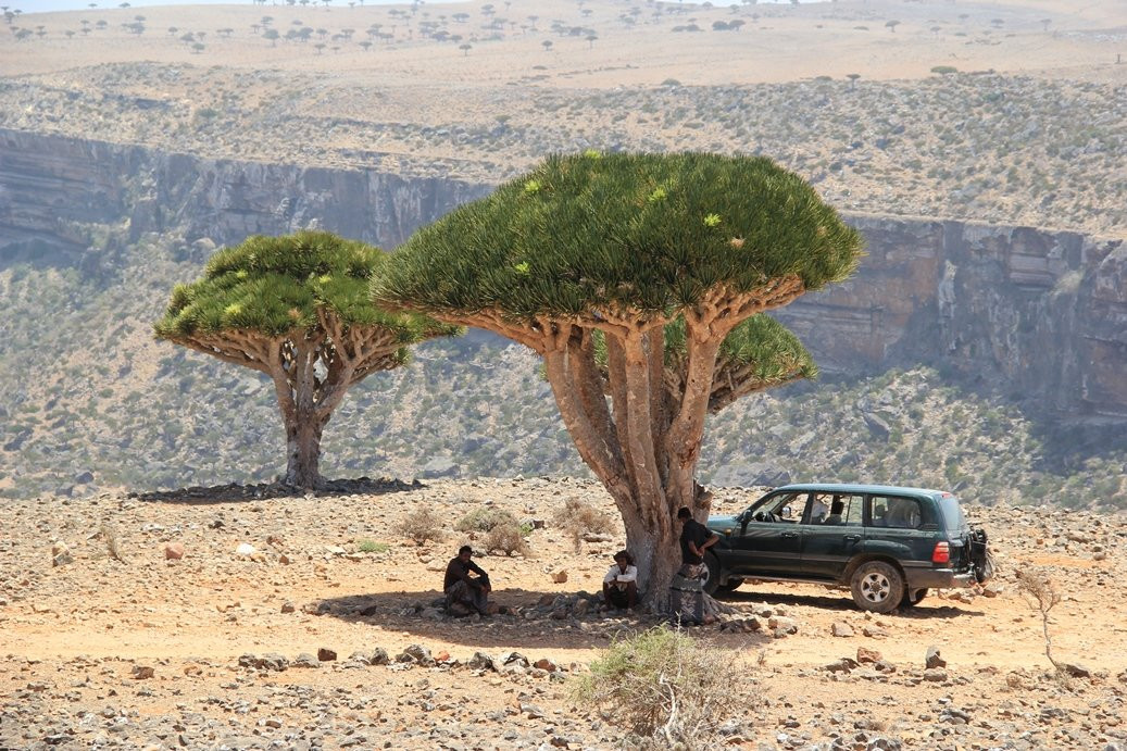 Socotra Adventure景点图片